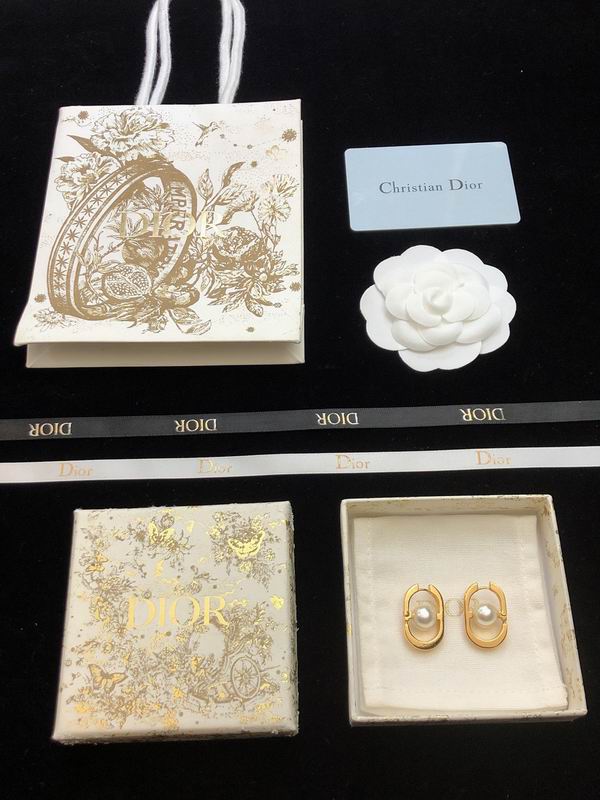 Dior Earring 05lyr548